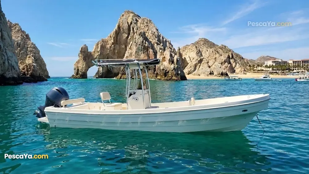 panga boat san cabo