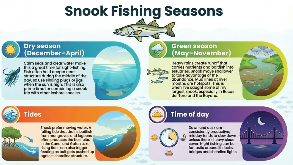 panama snook fishing seasons