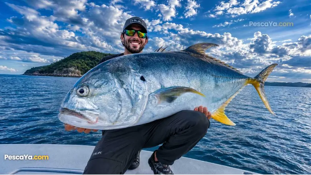 jack crevalle fishing
