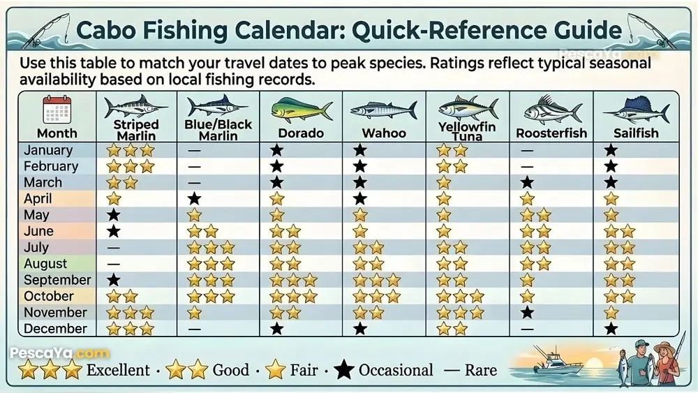 Cabo San Lucas fishing calendar