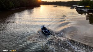 bayano river fishing tours