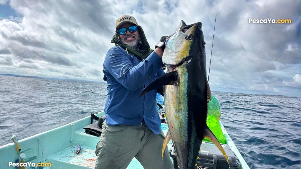 cambutal tuna fishing tours