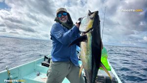 cambutal tuna fishing tours