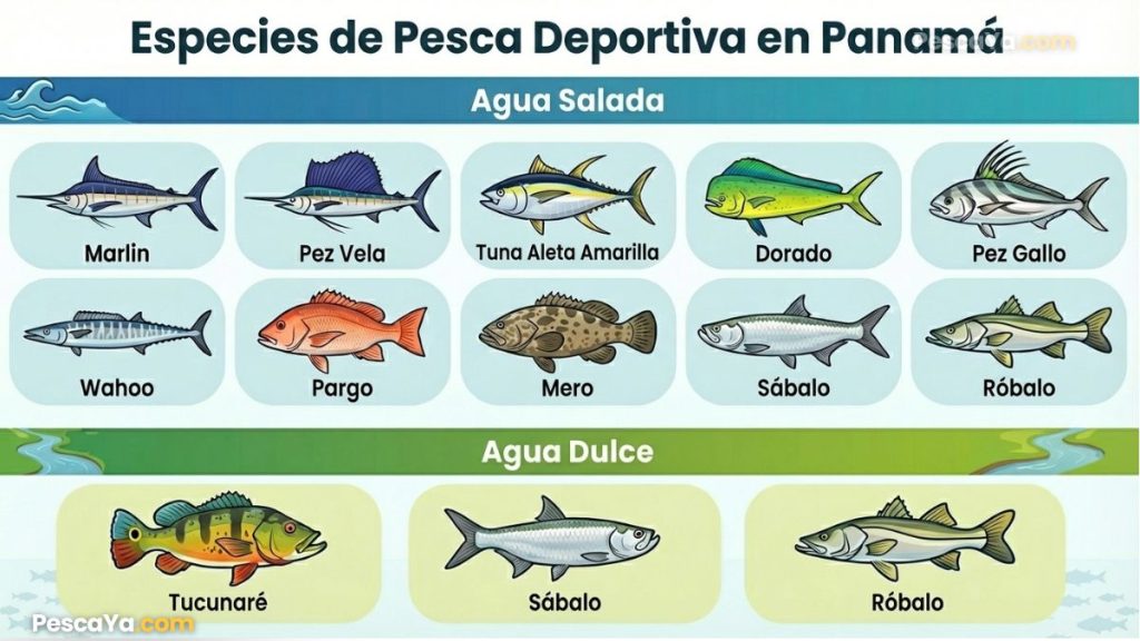 especies populares de pesca deportiva en panama