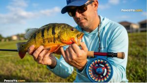 fly fishing tours in panama