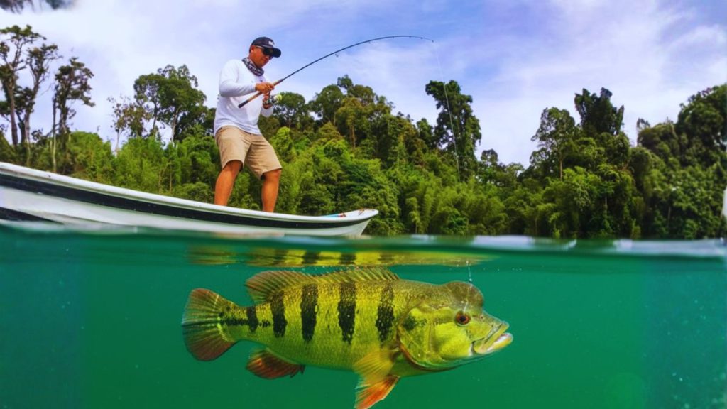 lake gatun fishing in panama