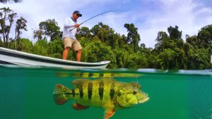 lake gatun fishing in panama