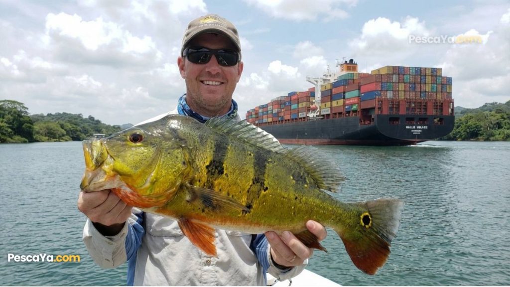 panama canal fishing trips