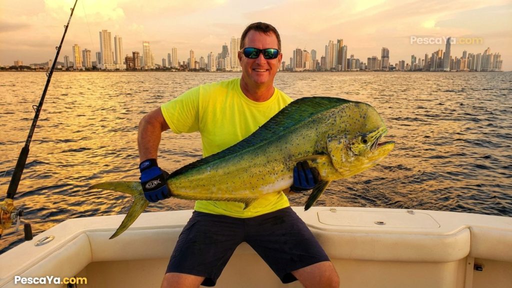 best places to go fishing in panama