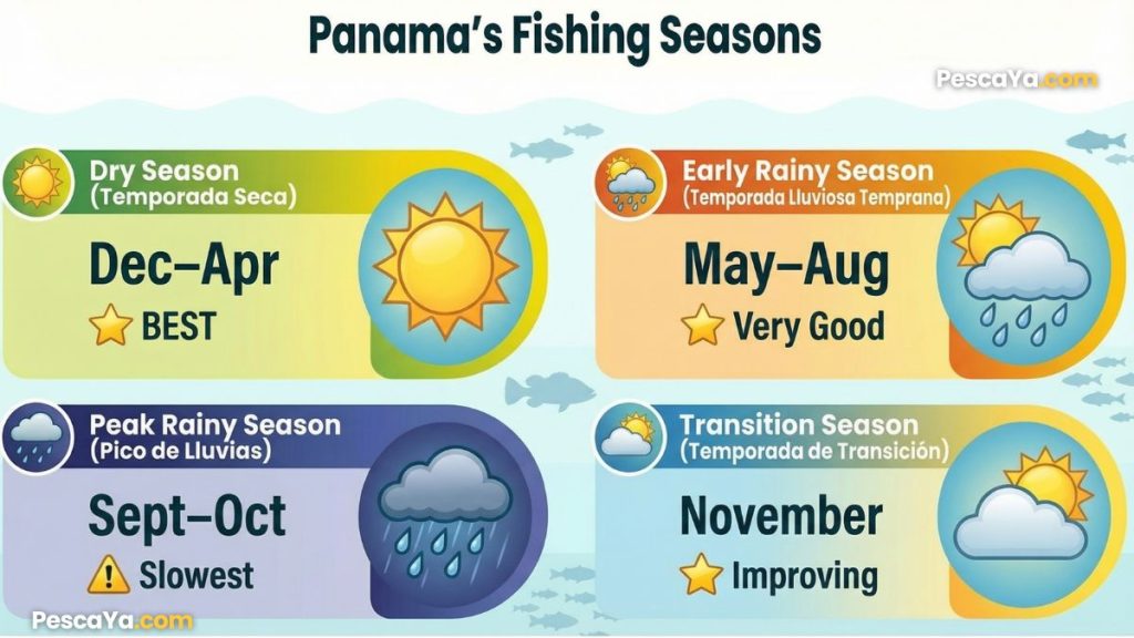 panama's fishing season infographic