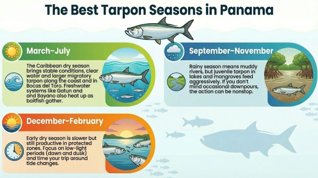 tarpon seasons in panama
