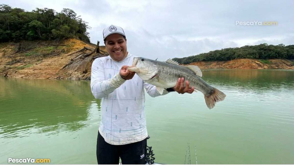 pesca en guatape colombia