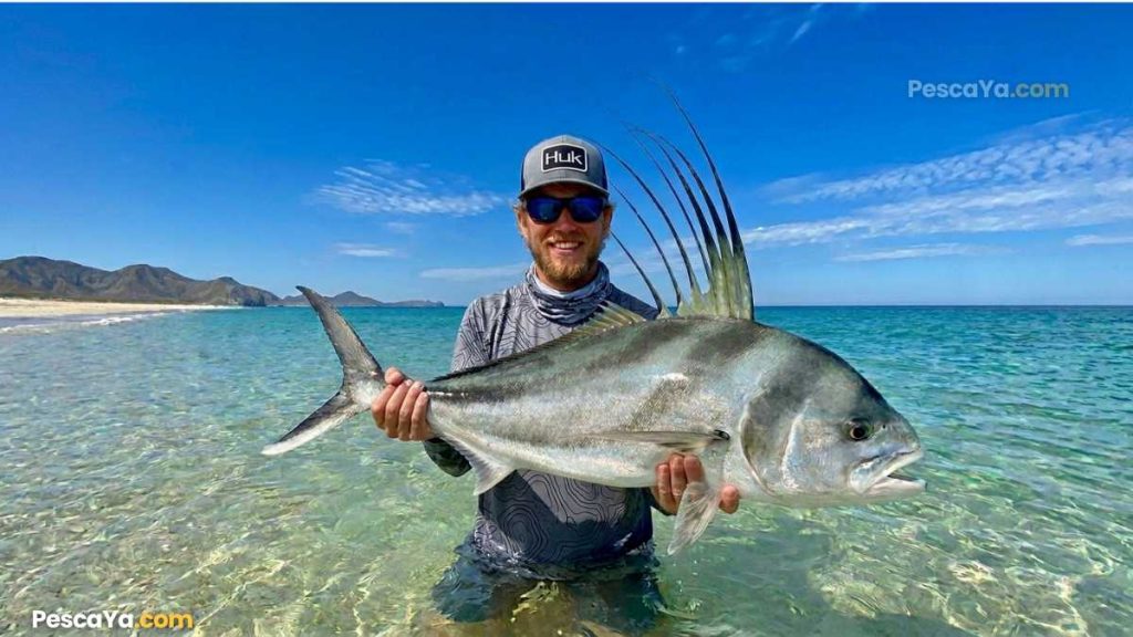 roosterfish fishing in costa rica