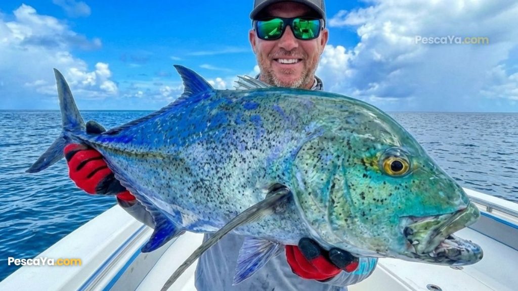 bluefin trevally in mexico