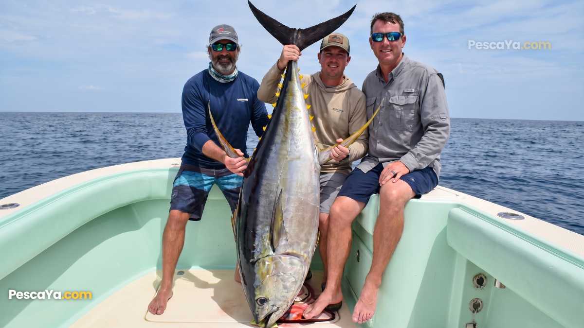 hannibal bank fishing in panama