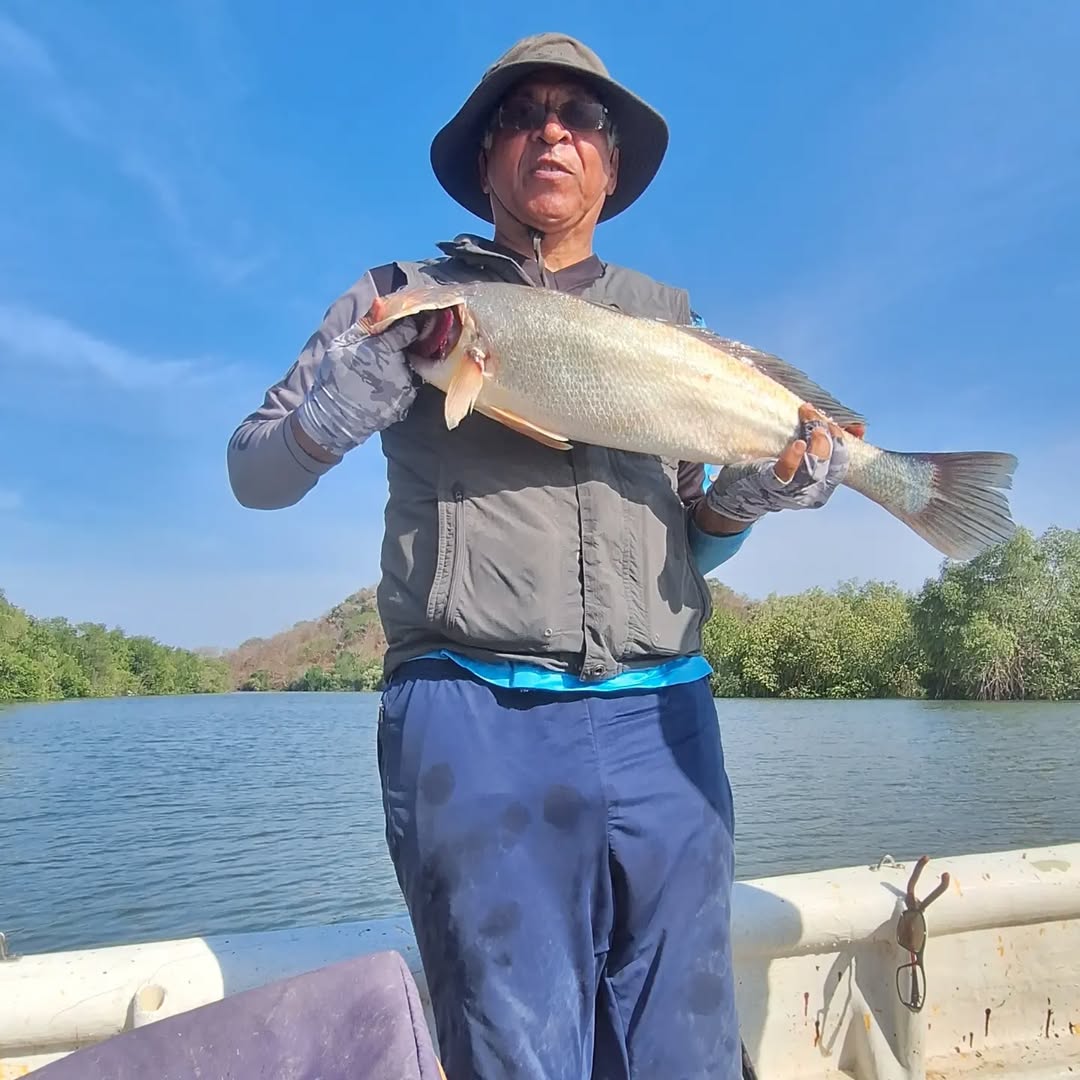 Mangrove Fishing - Full Day