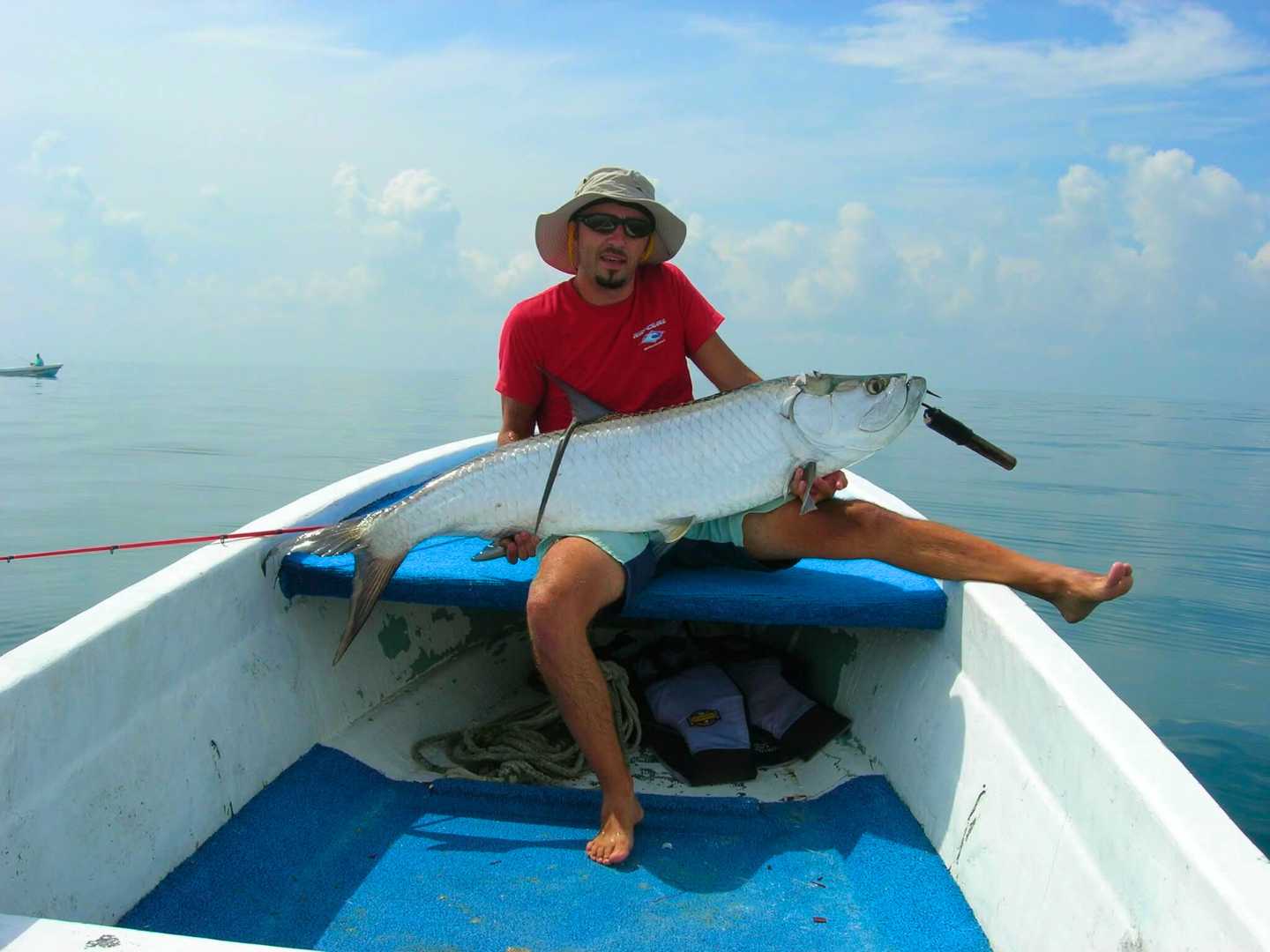 Pesca con Mosca Río Lagartos – Tours de Tarpon en Yucatán