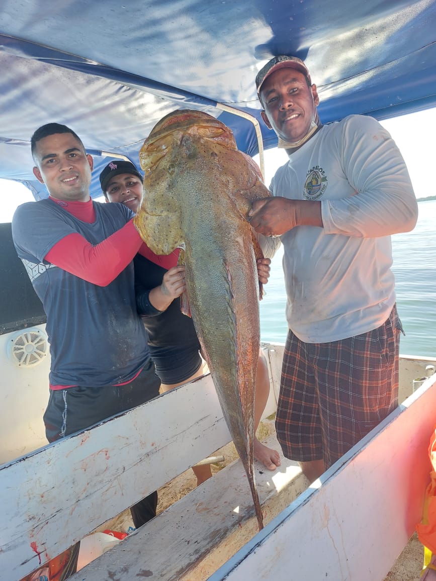  Isla Paridas & Alrededores – Pesca Deportiva Costera