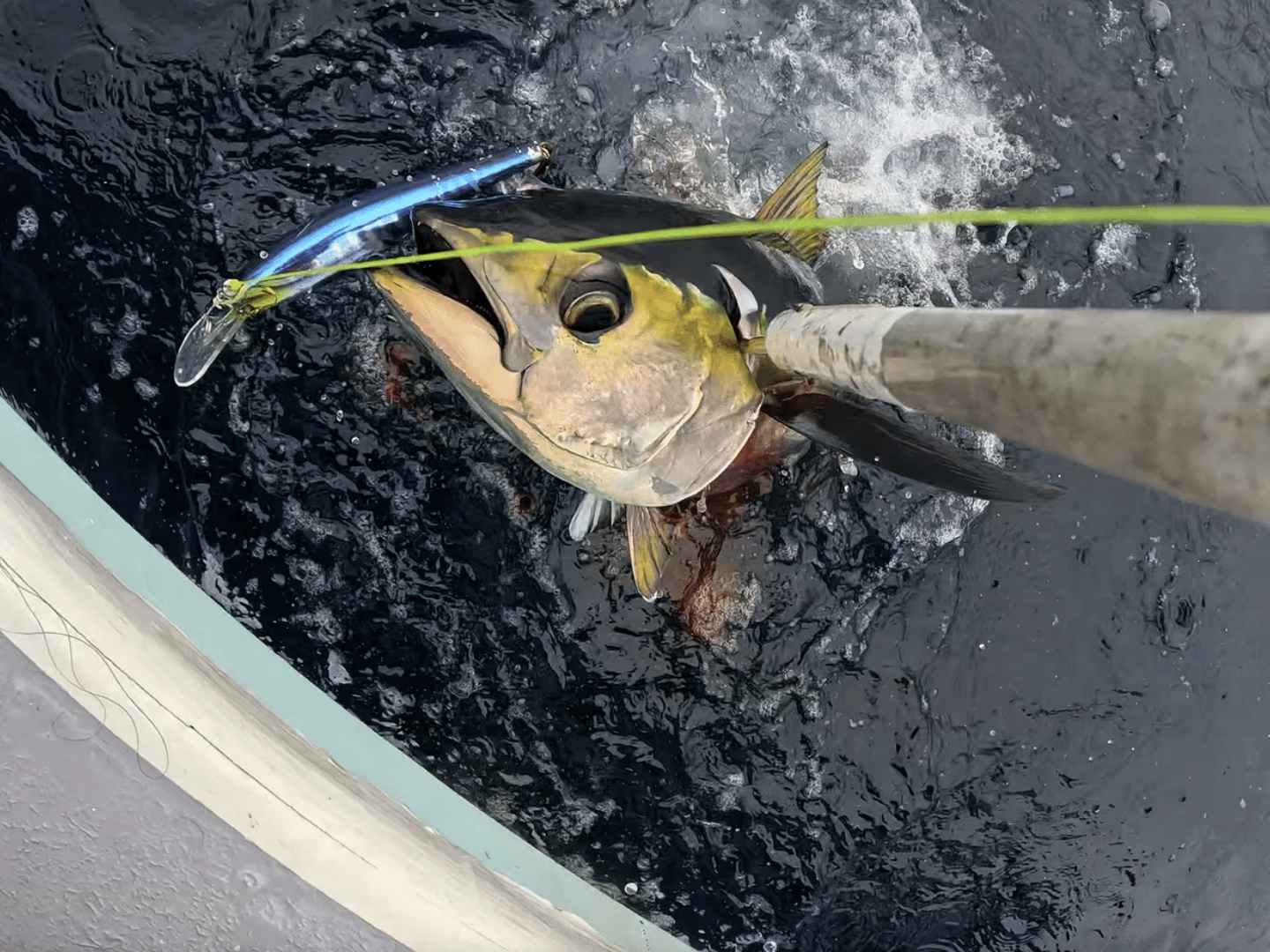 Megan Sofia - Pesca en Pedasi