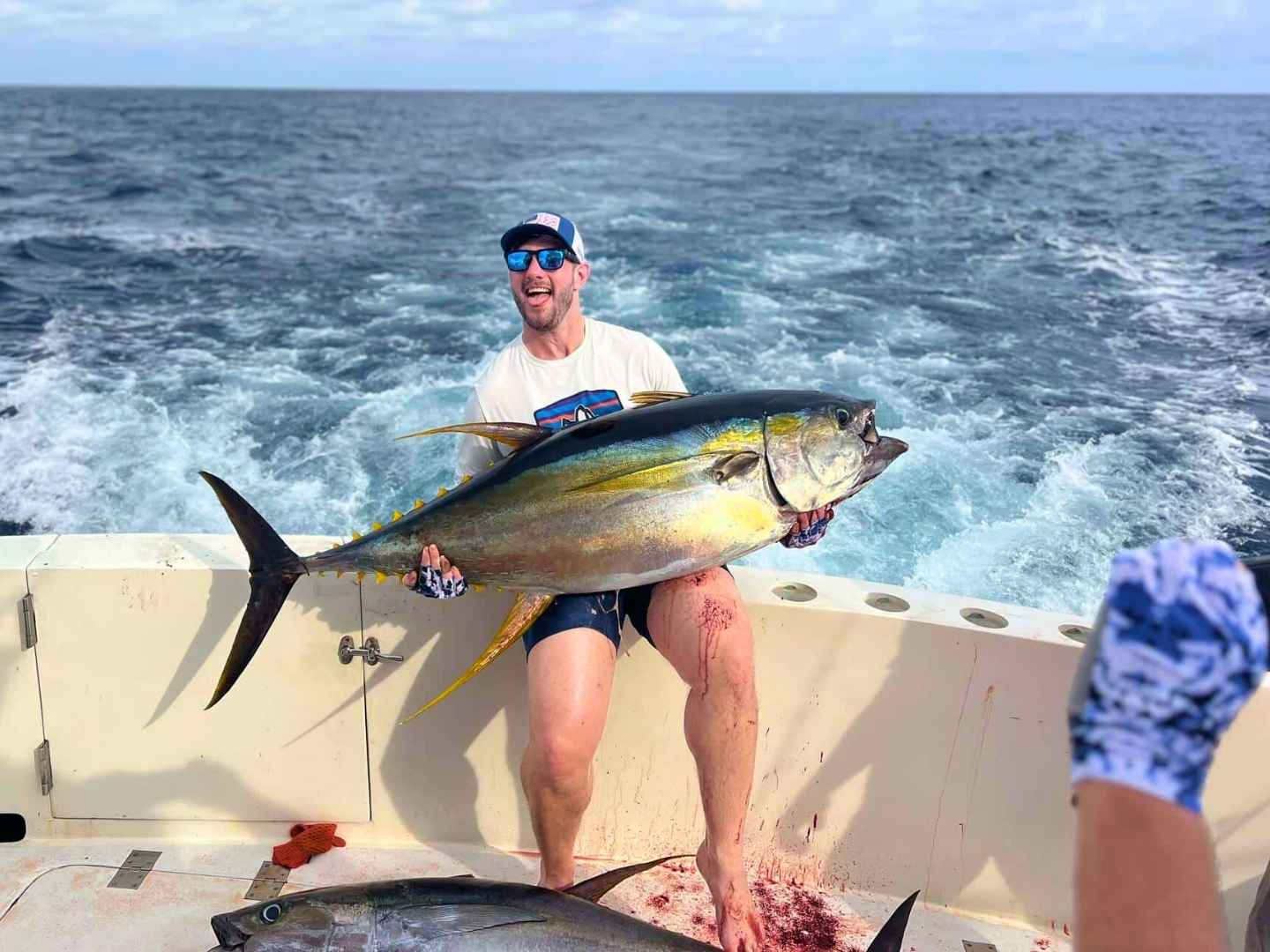 Blue Marlin Fishing Expeditions