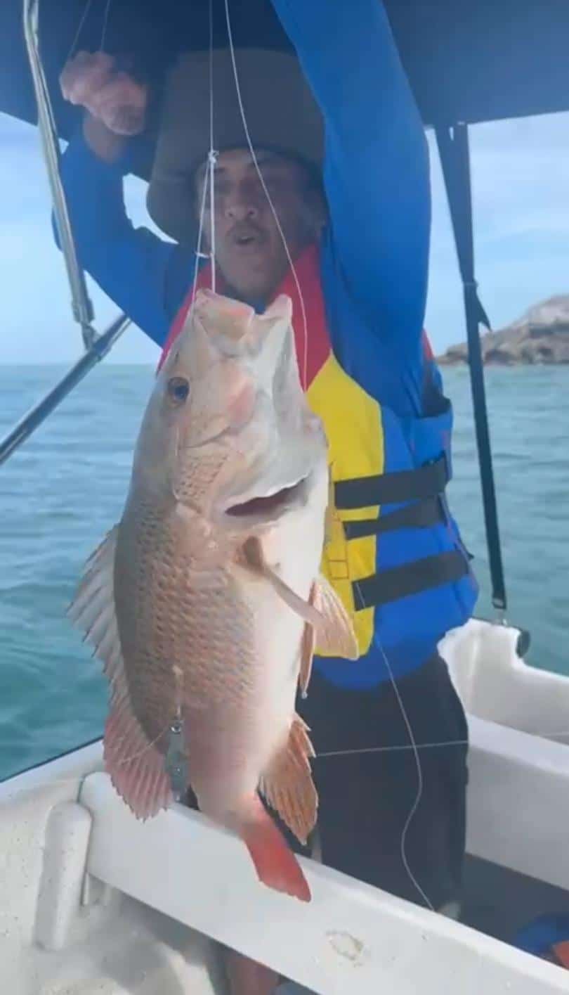8-Hour Bottom Fishing
