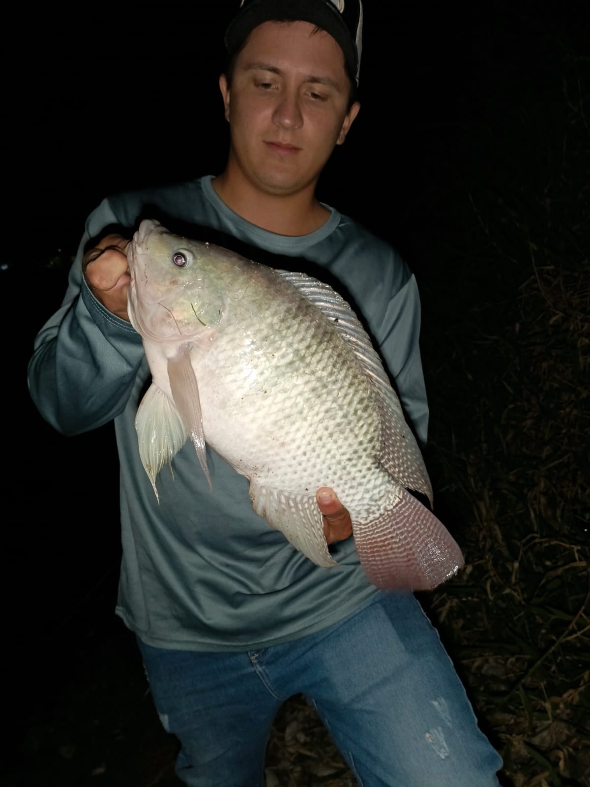 Pesca de Medio Día en el Embalse de Guatapé